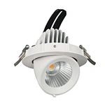 Gimbal light